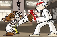 Karate Monkey