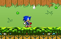 Sonic in Garten