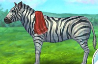 Inimitable Zebra