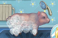 Clean Little Piggy