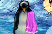 Pinguin Verzorgen