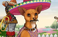 Chihuahua Dress Up