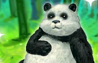 Fröhliche Panda