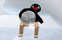 Pinguin op de slee