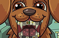 Pet Crazy Dentist