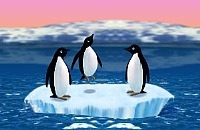 Jeux de Pingouin
