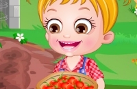 Baby-Hazel Tomato Farming