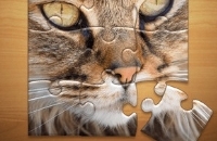 Jigsaw Puzzle Classique