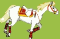 Ginásio Cavalo