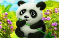 Glücklicher Panda