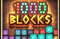 1000 Blokken