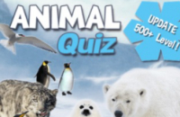 Cuestionario De Animales