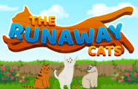 The Runaway Cats