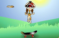 Frisbee Hond 1