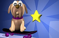 Skate Hond