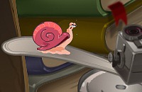 Snail Story