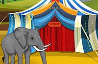 Elephant Circus