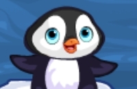 Pinguïn Skip