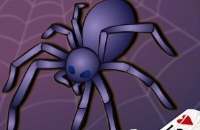 Spider Solitaire 3