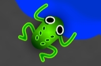Frogger The Sapo