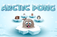 Pong Artico