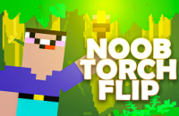 Noob Torch Flip 3D