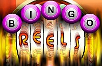 Bingo Reels