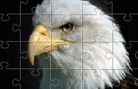 Puzzle Online
