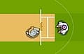 Cricket 1
