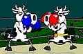 Cow Fighter