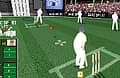 Cricket 2