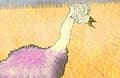 Ostrich Jump
